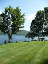 lawn without fertilizer
